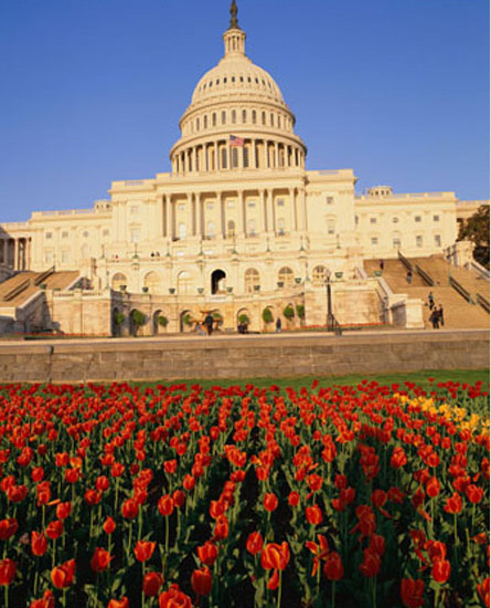 photo of the U.S. Capitol building in Washington, D.C.