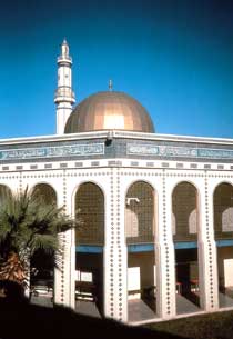 American Mosques
