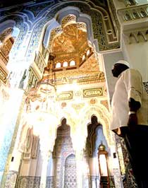 American Mosques