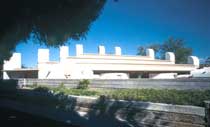 American Mosques