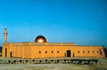 American Mosques