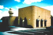 American Mosques